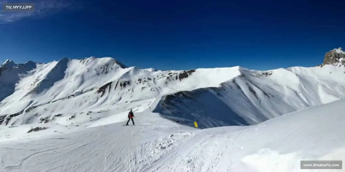 行业领先的理由